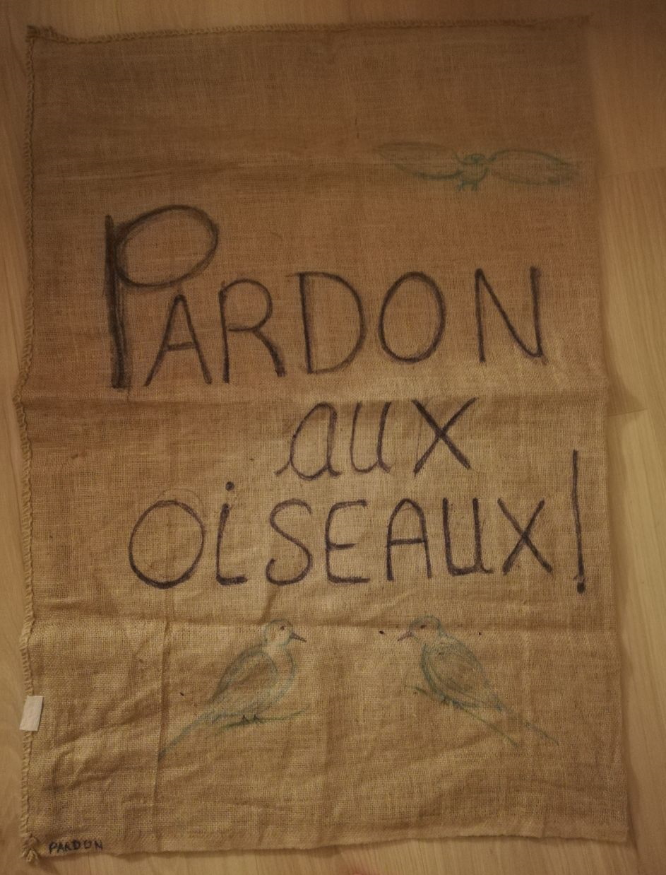 Lire la suite à propos de l’article Chrétiens engagés pour la justice sociale et l&rsquo;écologie, rassemblons-nous lors de la messe solennelle avec le Pape Léon